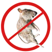 Dead Animal Removal Preston