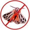 Moth Control Preston